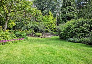 Optimiser l'expérience du jardin à Villeneuve-les-Avignon